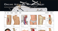 Desktop Screenshot of microsurgery.net